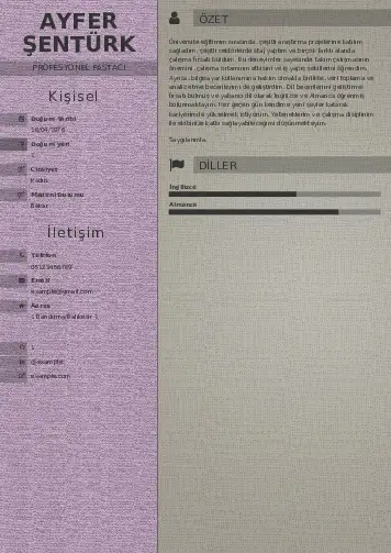 Pastacı Cv Örnekleri cv indir